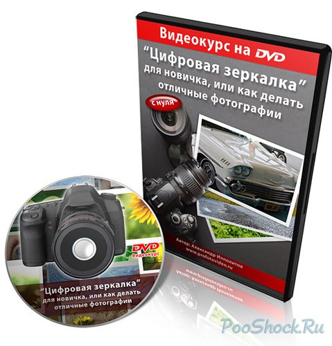 Видеообучение: "Цифровая зеркалка для новичка"