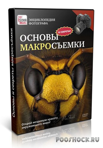 Основы и секреты макросъёмки