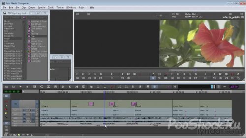 Avid Media Composer 5: "Getting Started", "Essential Training"