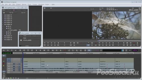 Avid Media Composer 5: "Getting Started", "Essential Training"