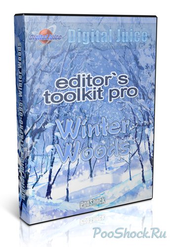 Digital Juice - ETKPRO-095: Winter Woods