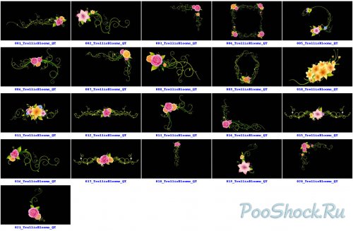 Digital Juice - Trellis Blooms Motion Design Elements