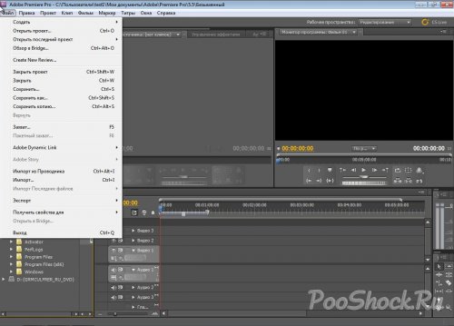 Adobe Premiere Pro CS5.5 (5.5.2) ENGRUS