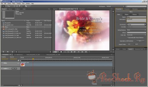 Adobe Premiere Pro CS4 (4.2.1) +Русификатор