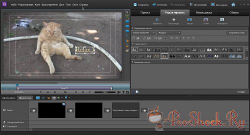 Adobe Premiere Elements 10 MLRUS +Content