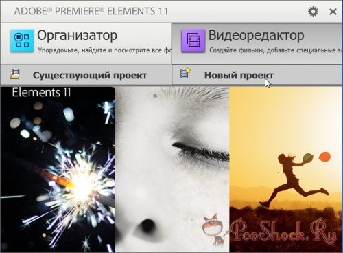 Adobe® Premiere® Elements 11 Multilingual (x86-x64)