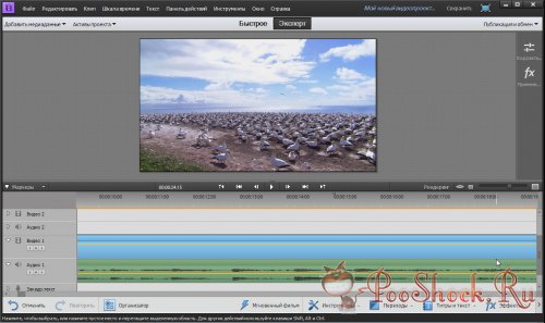 Adobe® Premiere® Elements 11 Multilingual (x86-x64)