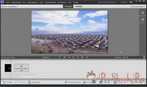 Adobe® Premiere® Elements 11 Multilingual (x86-x64)