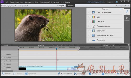 Adobe® Premiere® Elements 11 Multilingual (x86-x64)