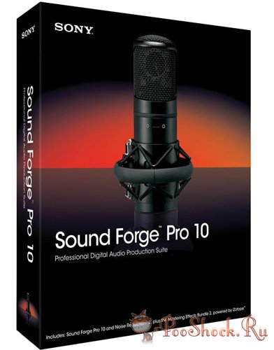 SONY Sound Forge Pro 10.0e Build 507 RUS-ML