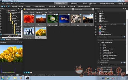 ACDSee Pro 6.1 Build 197 RePack RUS