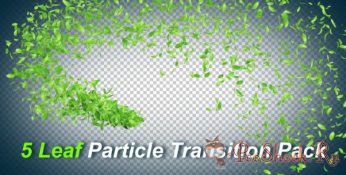 Videohive - 5 Leaf Particle Transition Pack