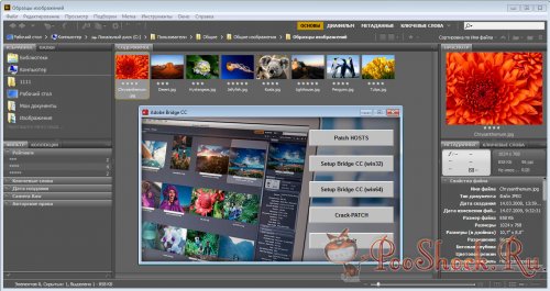 Adobe Bridge CC (v6.0.0) RUS-ML