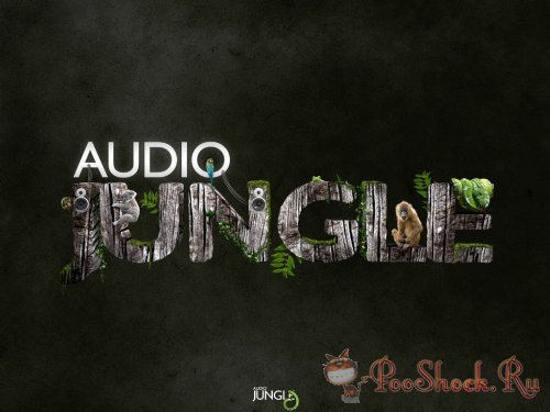 AudioJungle Pack