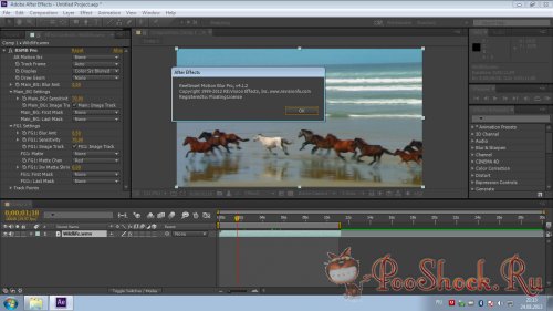 ReelSmart Motion Blur v4.1.2b RePack