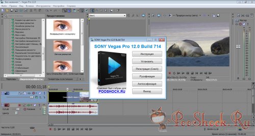 SONY Vegas Pro 12.0.714 RUS-ML (x64)