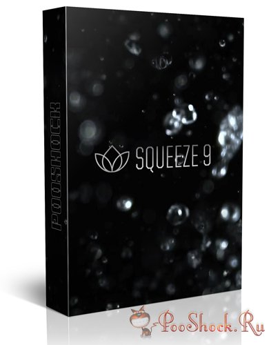 Sorenson Squeeze Pro\Premium 9.0.2.81