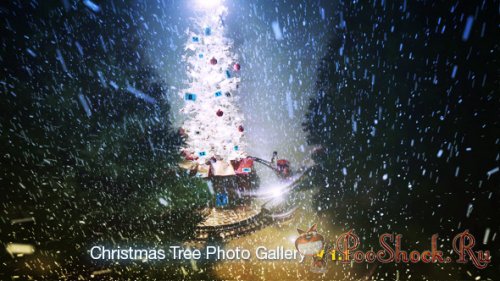 Videohive - Christmas Tree Photo Gallery (AE Project)