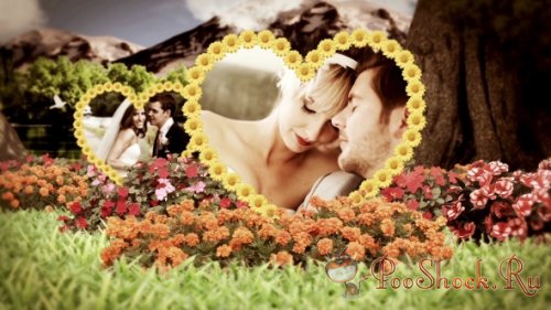 Videohive - Wedding garden (.aep)