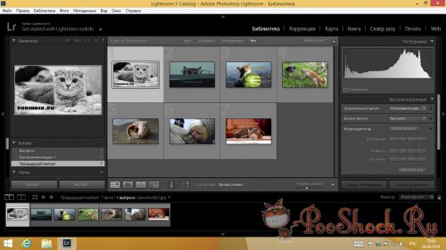 Adobe Photoshop Lightroom 5.4 RePack RUS