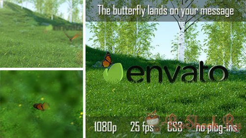 VideoHive - Butterfly Logo Reveal