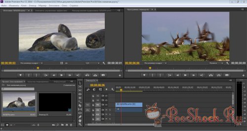 Adobe Premiere Pro CC 2014 (8.0.1.21) RUS-ML