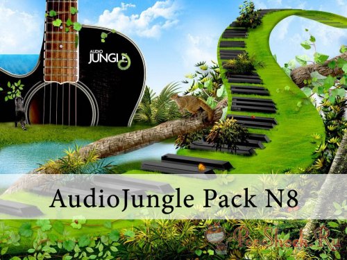 AudioJungle Pack-08