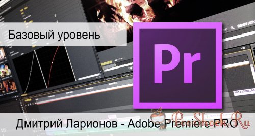 Adobe Premiere Pro. Базовый уровень (видеокурс, RUS)