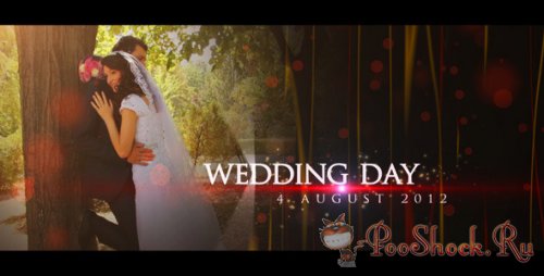 VideoHive - Wedding Teaser (.aep)