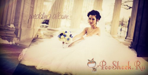 VideoHive - Wedding Album 276939 (.aep)