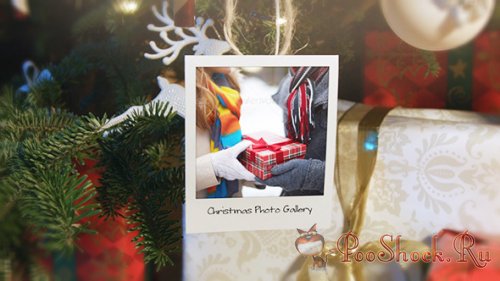 Videohive - Christmas and New Year Photo Gallery (.aep)