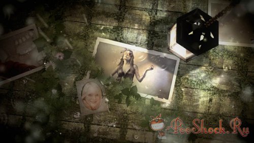 Videohive - Light Photo Gallery (.aep)