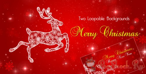 Videohive - Christmas Reindeer (.mov)