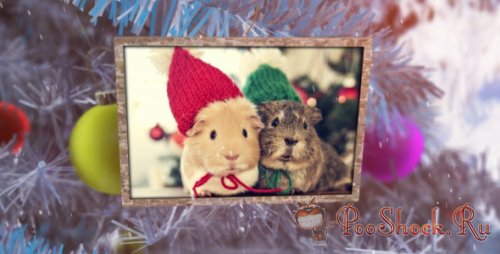 Videohive - New Year Photo Album (.aep)