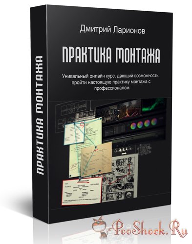 Практика монтажа. Дмитрий Ларионов (Онлайн-курс)