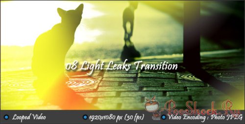 VideoHive - Light Leaks Transition