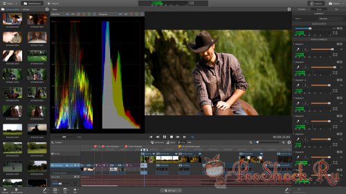 Sony Catalyst Production Suite 2019.2.2