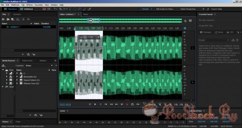 Adobe Audition CC 2015.2 (9.2.0.191)