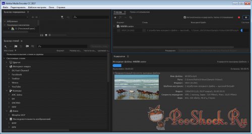 Adobe Media Encoder CC 2017 (11.0) ML-RUS