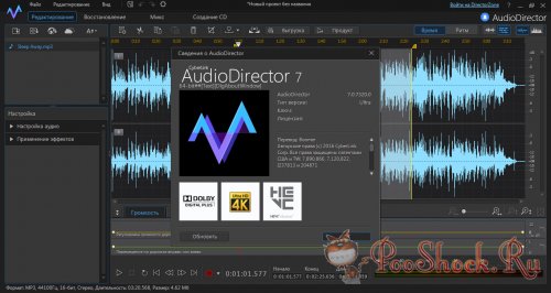 CyberLink AudioDirector 7.0.7320 RePack