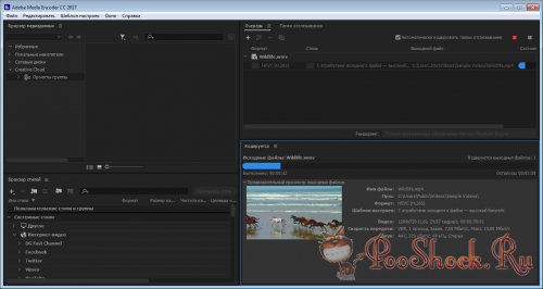 Adobe Media Encoder CC 2017 (11.1.0) ML-RUS