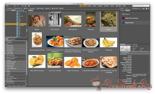 Adobe Bridge CC 2018 (8.1.0.383) 64-bit