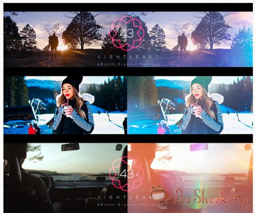 VideoHive - Light Leaks Pack (MOV)