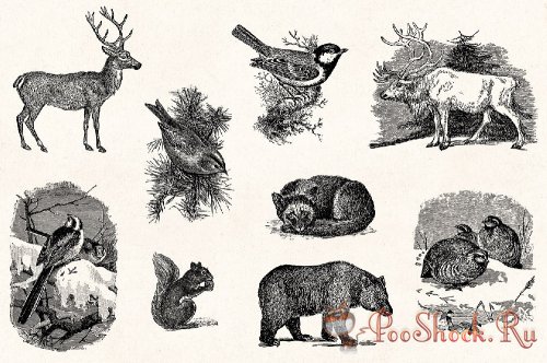 Winter Holidays - Vintage Engraving Illustration Set (PNG,AI)