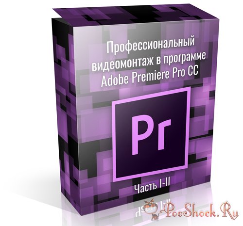 Профессиональный видеомонтаж в программе Adobe Premiere Pro CC. Часть I-II (Видеокурс)