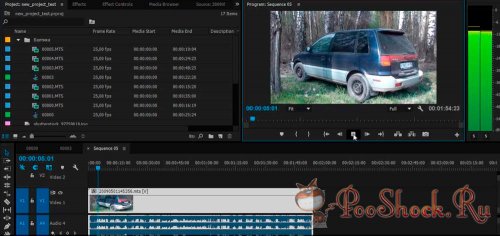 Профессиональный видеомонтаж в Adobe Premiere Pro CC (Видеокурс)