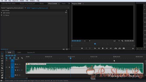 Профессиональный видеомонтаж в Adobe Premiere Pro CC (Видеокурс)