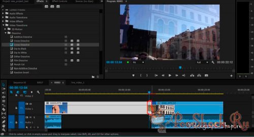 Профессиональный видеомонтаж в Adobe Premiere Pro CC (Видеокурс)