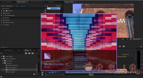 Профессиональный видеомонтаж в Adobe Premiere Pro CC (Видеокурс)