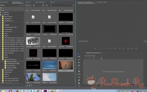 Профессиональный видеомонтаж в программе Adobe Premiere Pro CC. Часть I-II (Видеокурс)